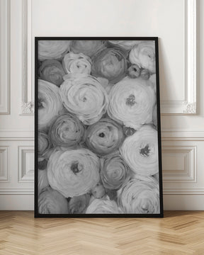 Scattered ranunculus grayscale II Poster