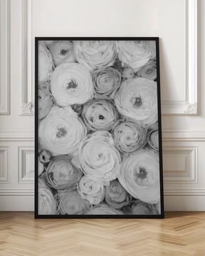 Scattered ranunculus grayscale I Poster