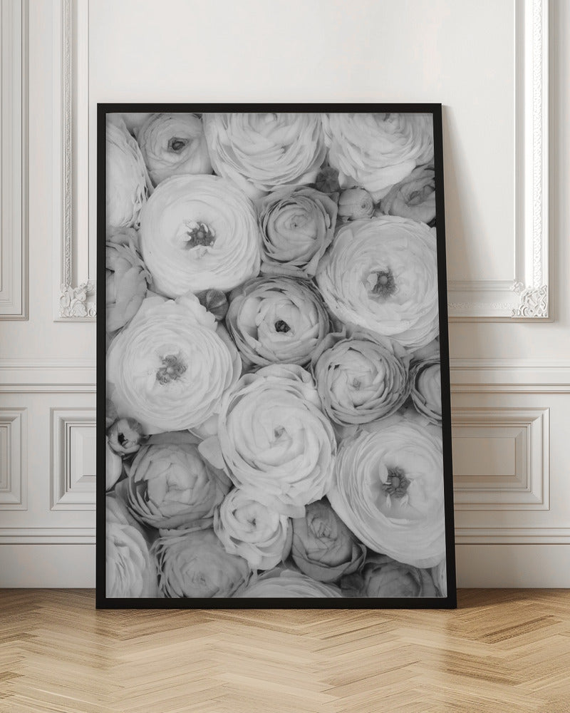 Scattered ranunculus grayscale I Poster