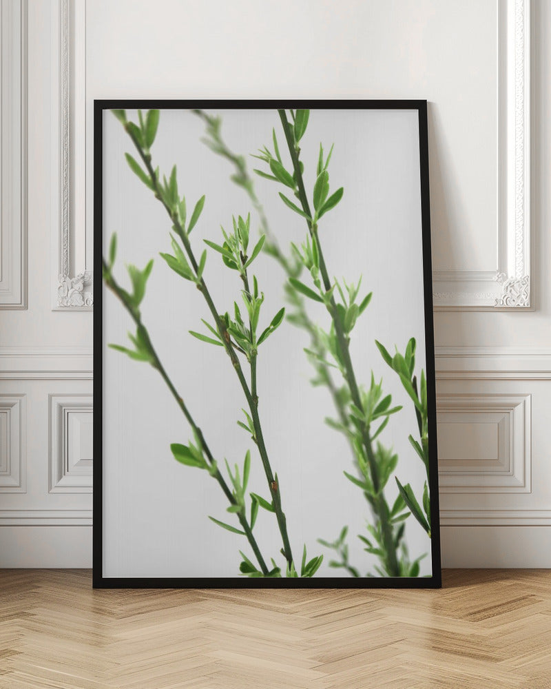 Green dainty branch Poster