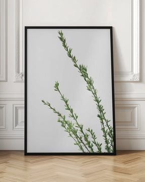 Little green branches Poster