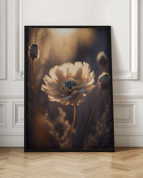 Flower in Morning Sun Poster