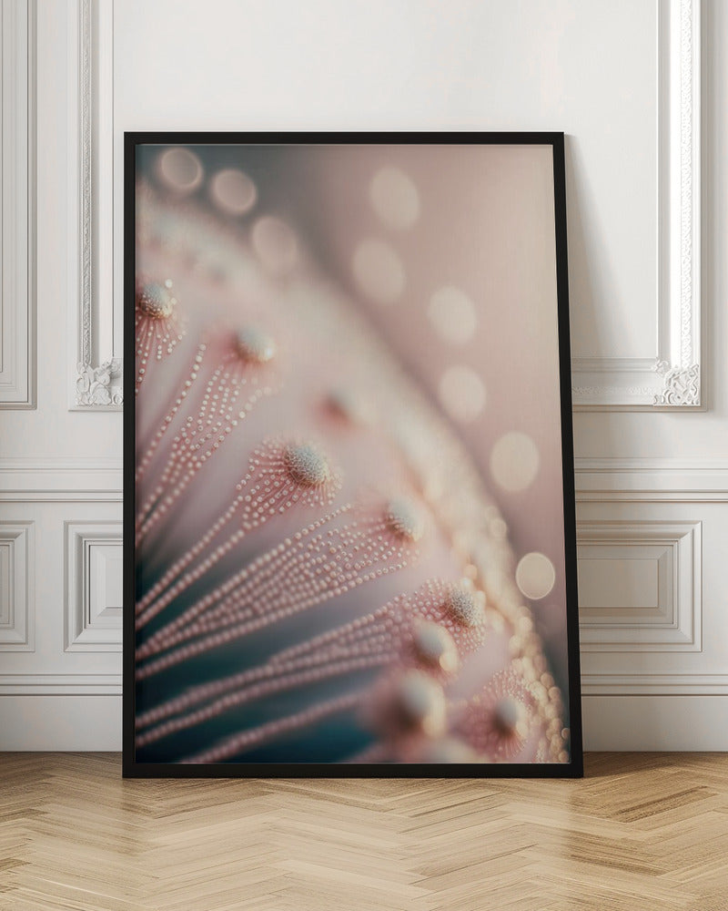 Pastel Pink Macro Poster