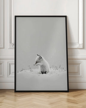 Snow Fox Poster