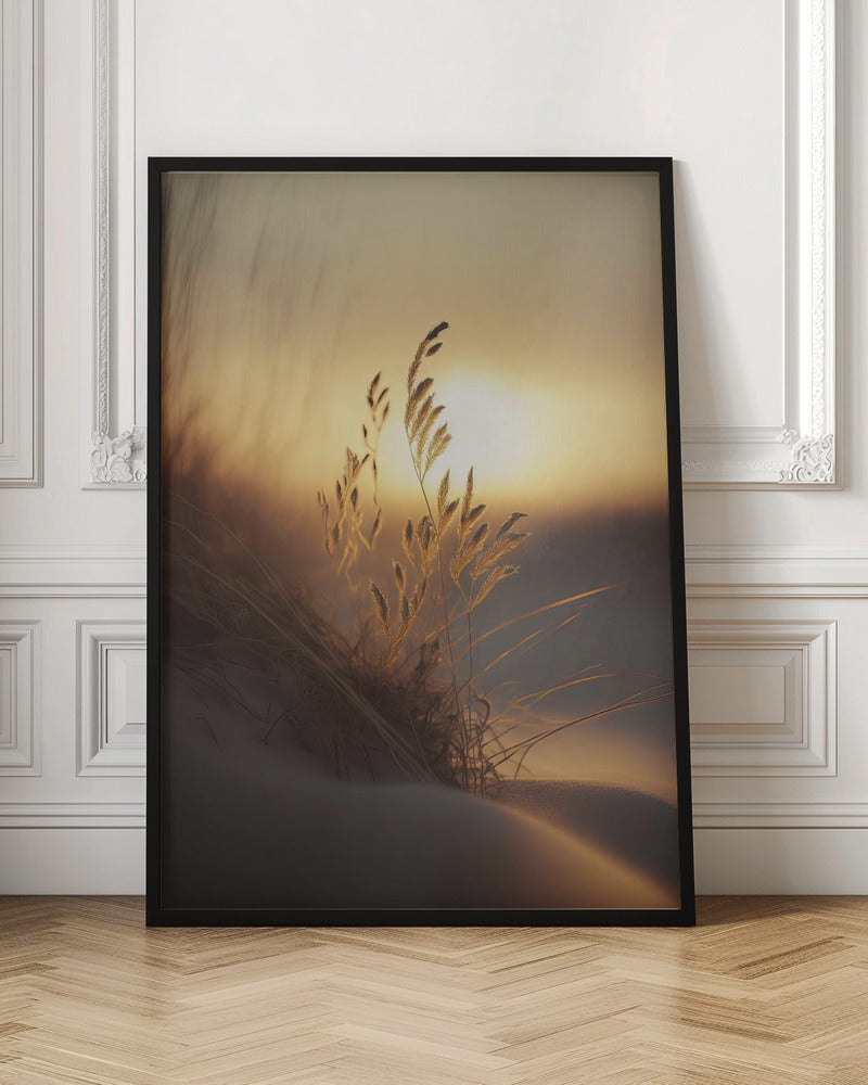 Evening Sun At The Beach Poster