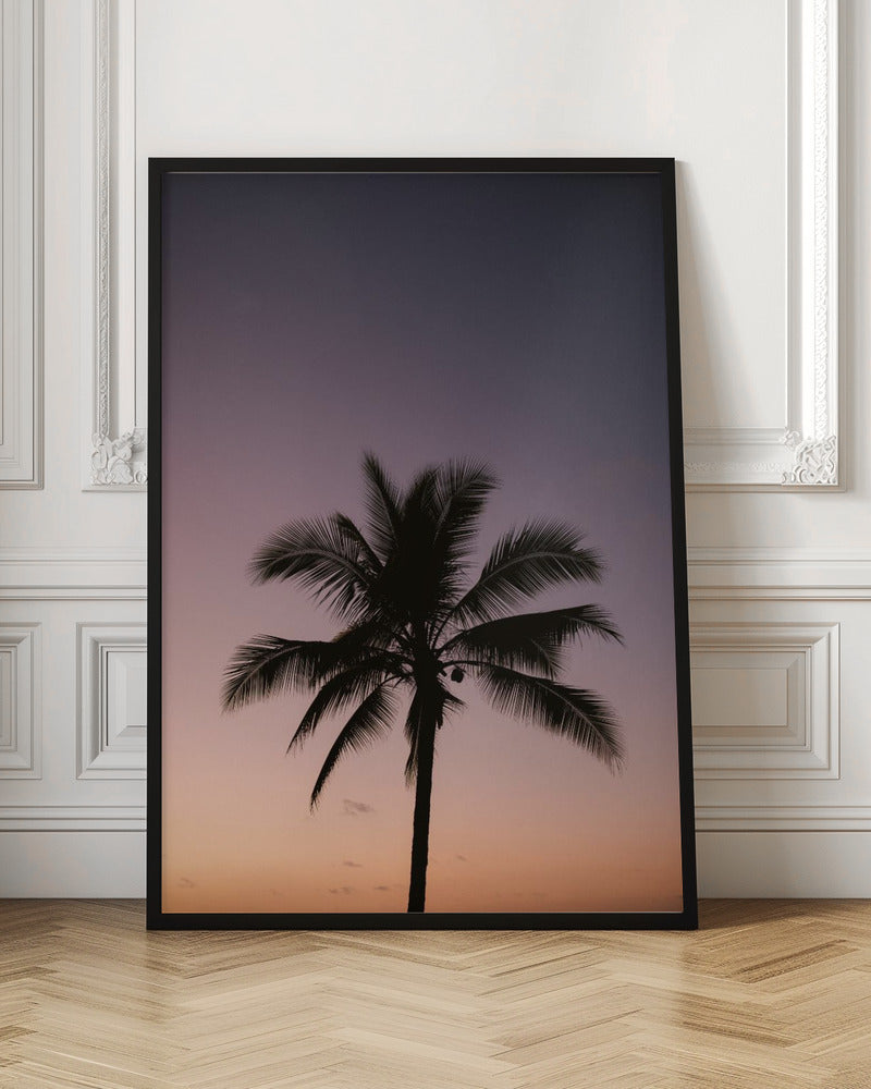 Costa Rica Palm Tree Poster