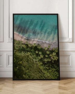 Palm Beach from Above Poster