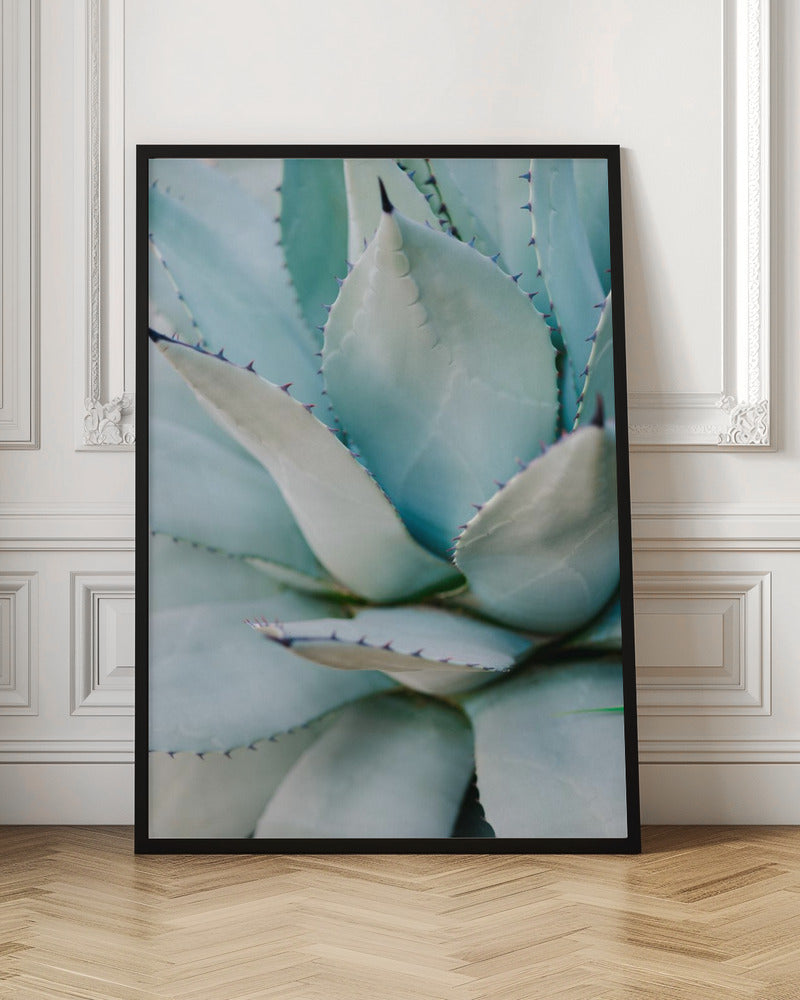 Succulent Green Poster