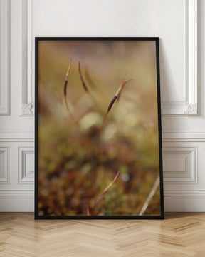 Magic stamen Poster