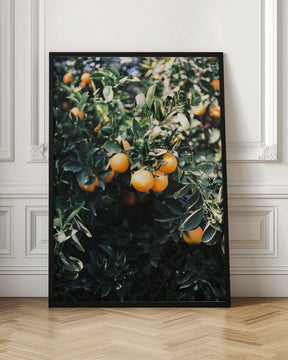 Marrakesh Oranges Poster