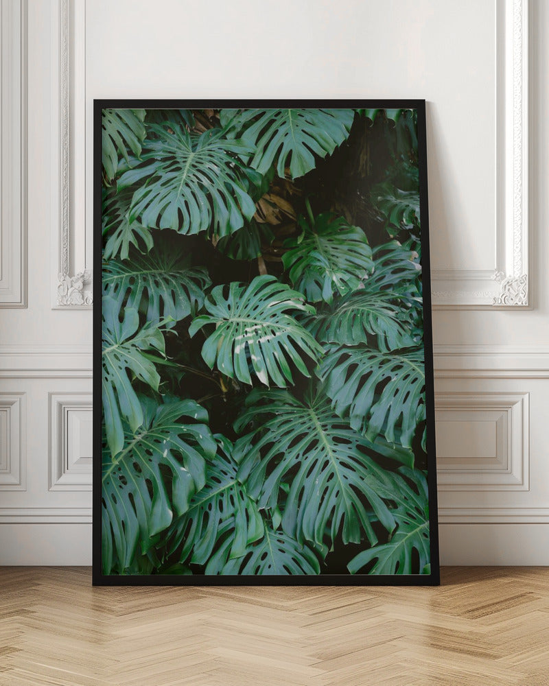 Monstera wall in Lisbon Poster