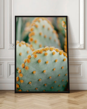 Orange and Green II - Marrakech botanical photography Poster