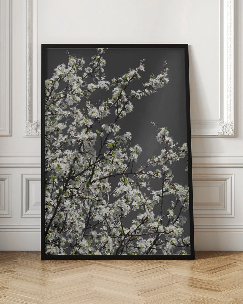 Spring branches Poster