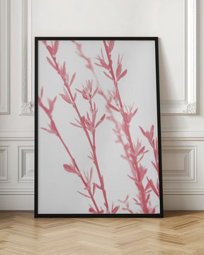 Pink dainty branch Poster