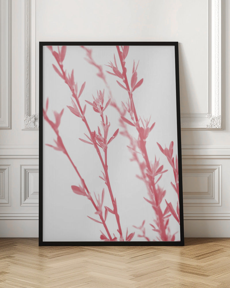 Pink dainty branch Poster