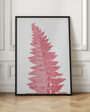 Pink fern leaf Poster