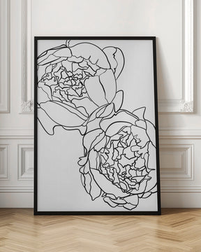 Sally's peonies in black and white Poster