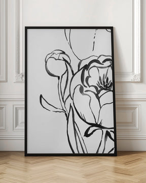 Anuman peony line art Poster