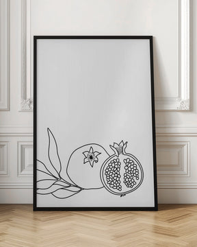 Pomegranate line art Poster