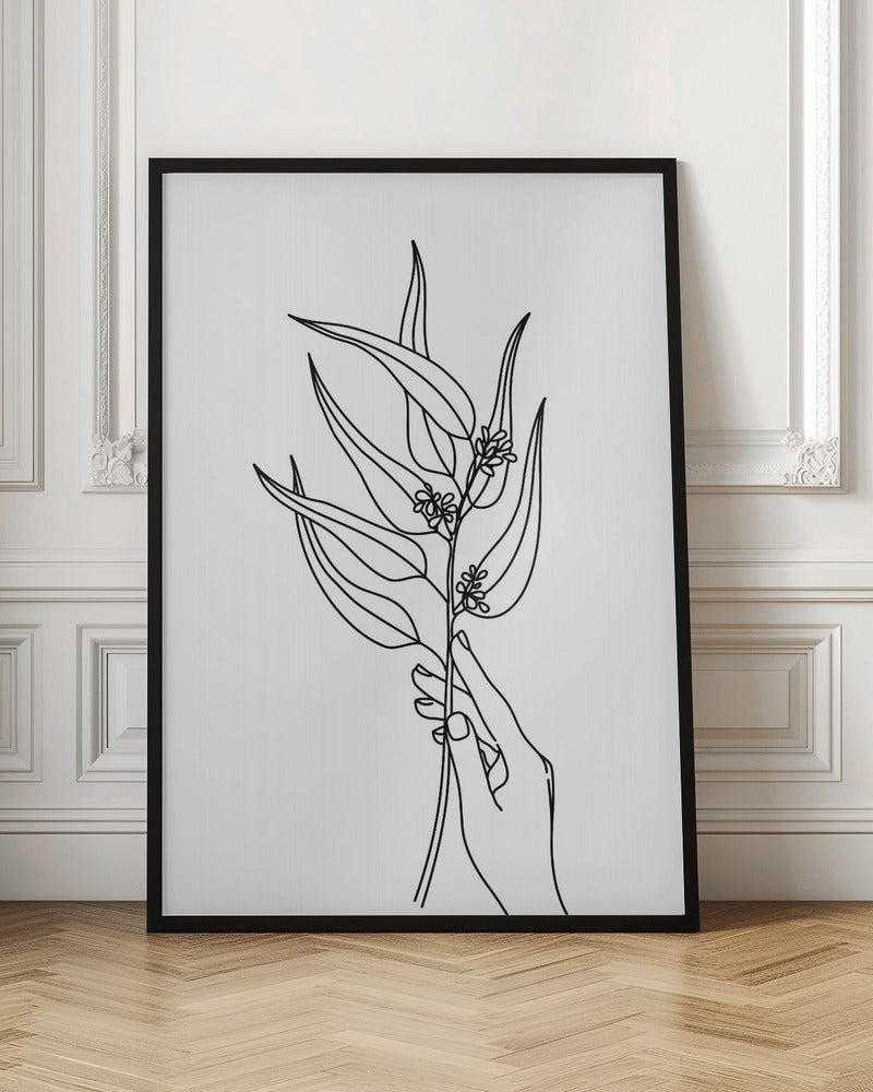 Seeded eucalyptus line art Poster