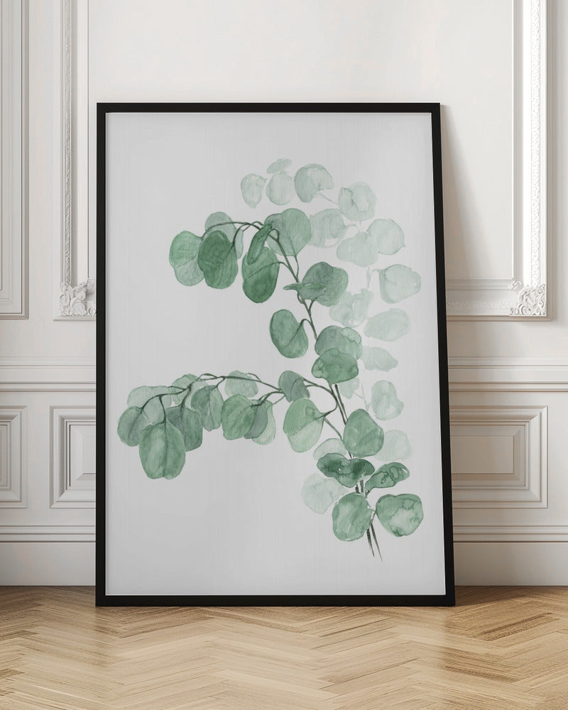 Watercolor silver dollar eucalyptus Poster