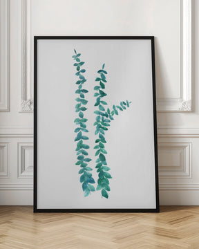 Watercolor eucalyptus branches in teal Poster