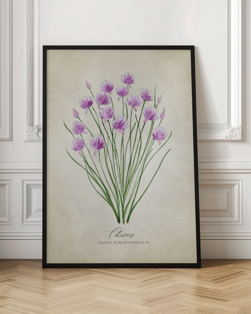 Chives vintage Poster