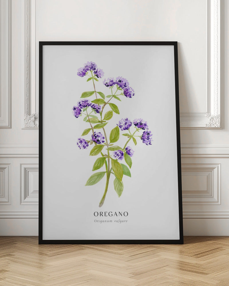 Oregano I Poster