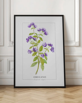 Oregano II Poster