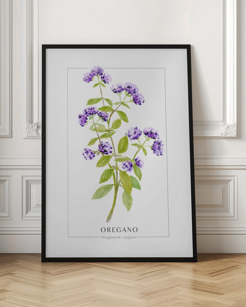 Oregano II Poster