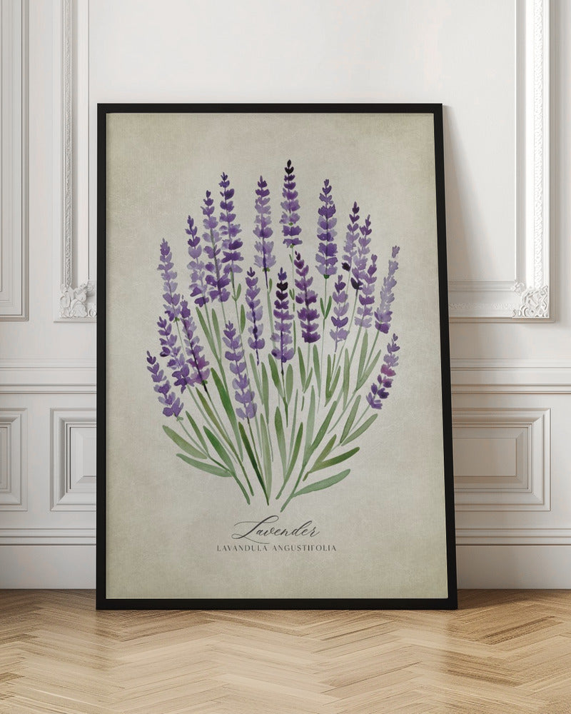 Lavender vintage Poster