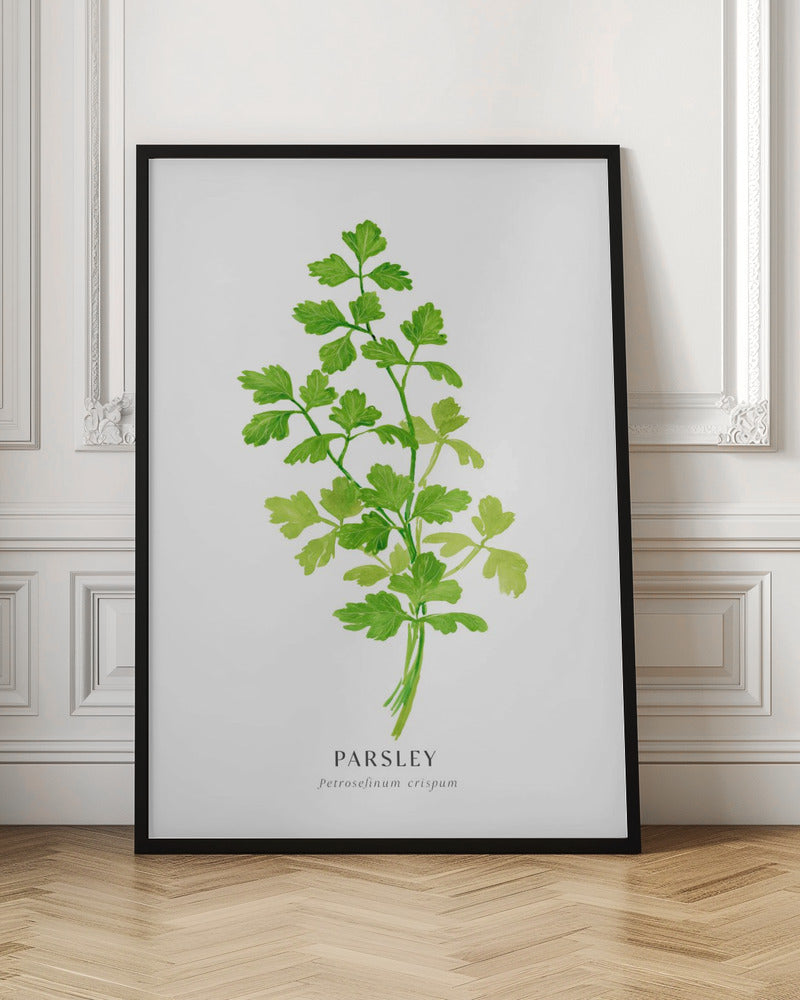 Parsley I Poster