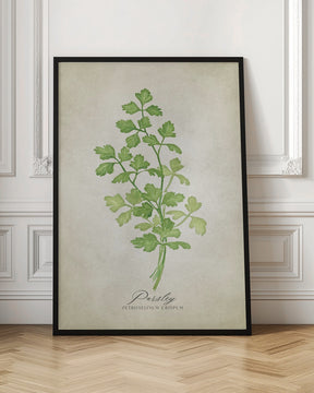 Parsley vintage Poster