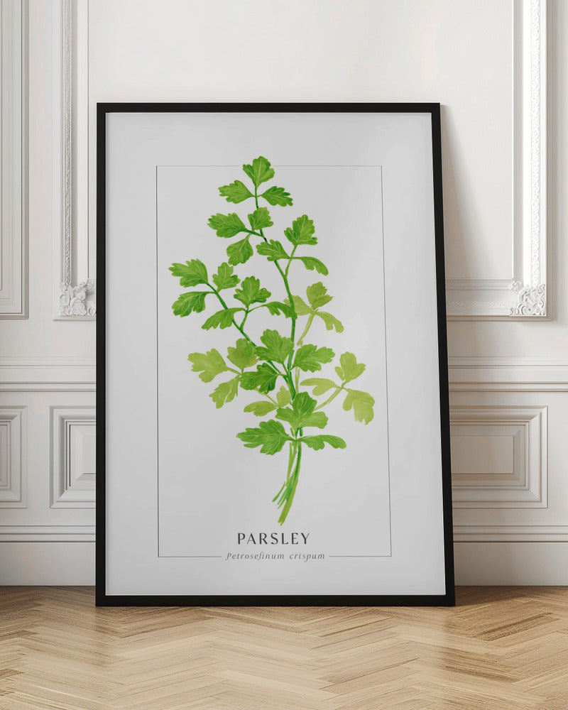 Parsley II Poster