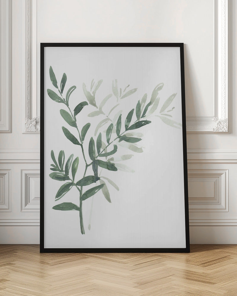 Watercolor laurel branch Poster