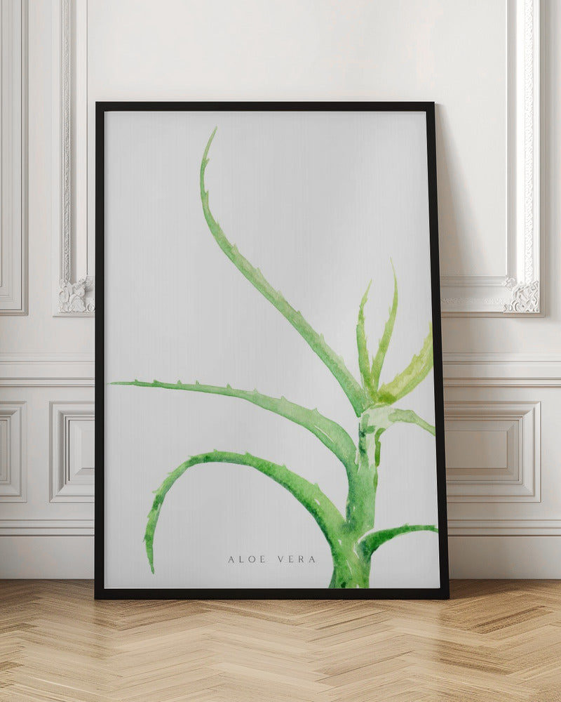 Watercolor aloe vera Poster