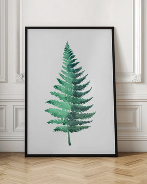 Watercolor fern Poster