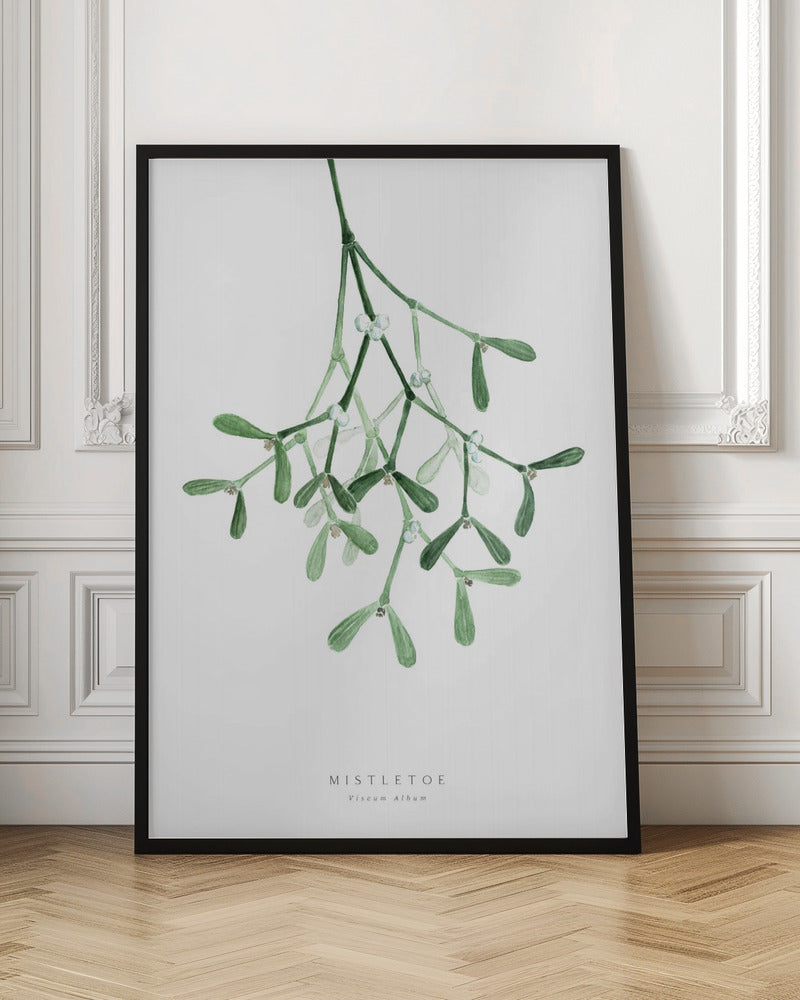 Watercolor mistletoe Poster