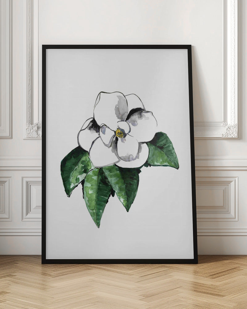 White magnolia Poster