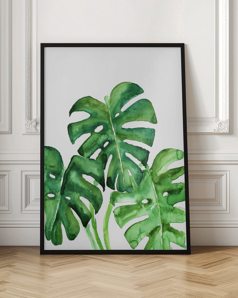 Monstera leaves in loose watercolor Poster