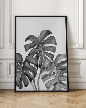 Monstera Leaves In Loose Watercolor Black and White Poster