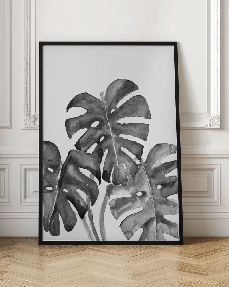 Monstera Leaves In Loose Watercolor Black and White Poster