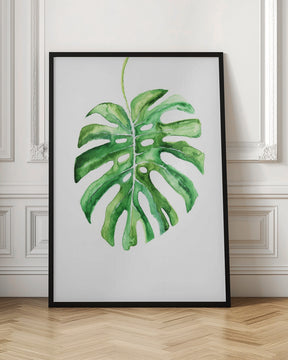 Monstera Leaf Poster