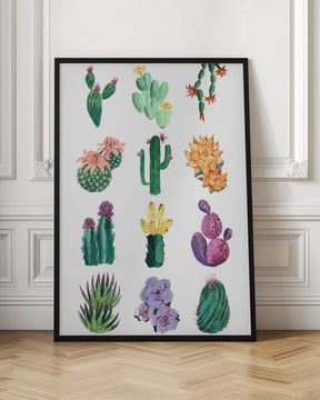 Collection of cacti Poster