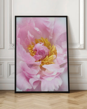 Pink peony I Poster