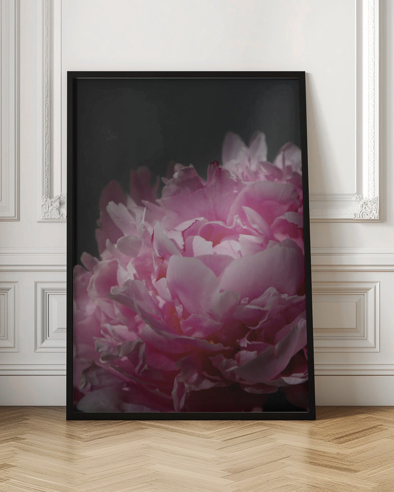 Moody pink peony I Poster