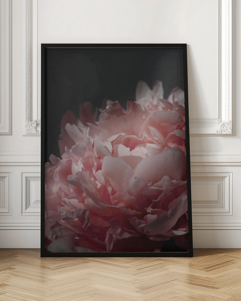 Moody blush peony I Poster