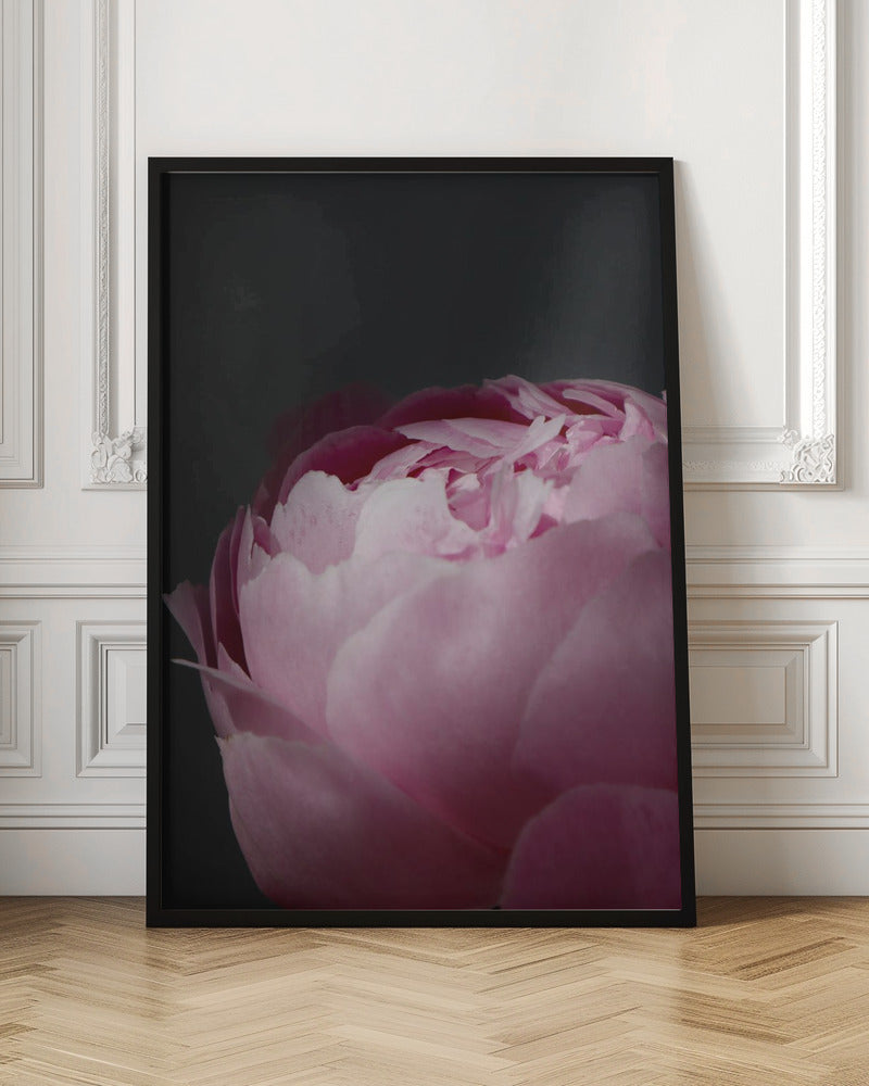 Moody pink peony II Poster