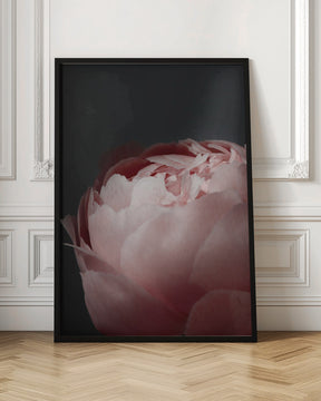 Moody blush peony II Poster