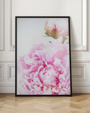 Pink peony IX Poster